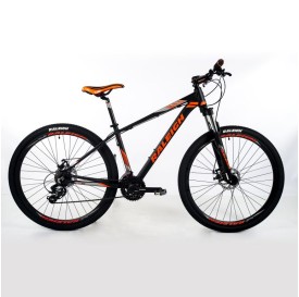 Bicicleta RALEIGH Mojave 2.00 R 29 21 VEL