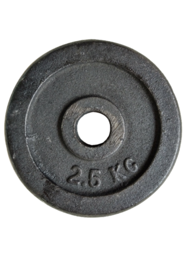 DISCO FUNDICION NACIONAL 2.5 KG