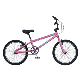 FLOW 2025 BMX R20