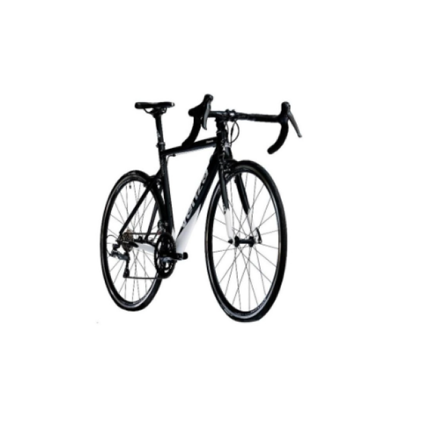 PHOENIX 2025 2X8 SHIMANO CLARIS