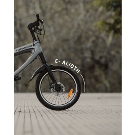 E-ALIOTH