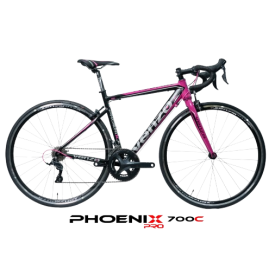 PHOENIX 2025 2X8 SHIMANO CLARIS