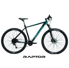 RAPTOR 2025 R29 2X9